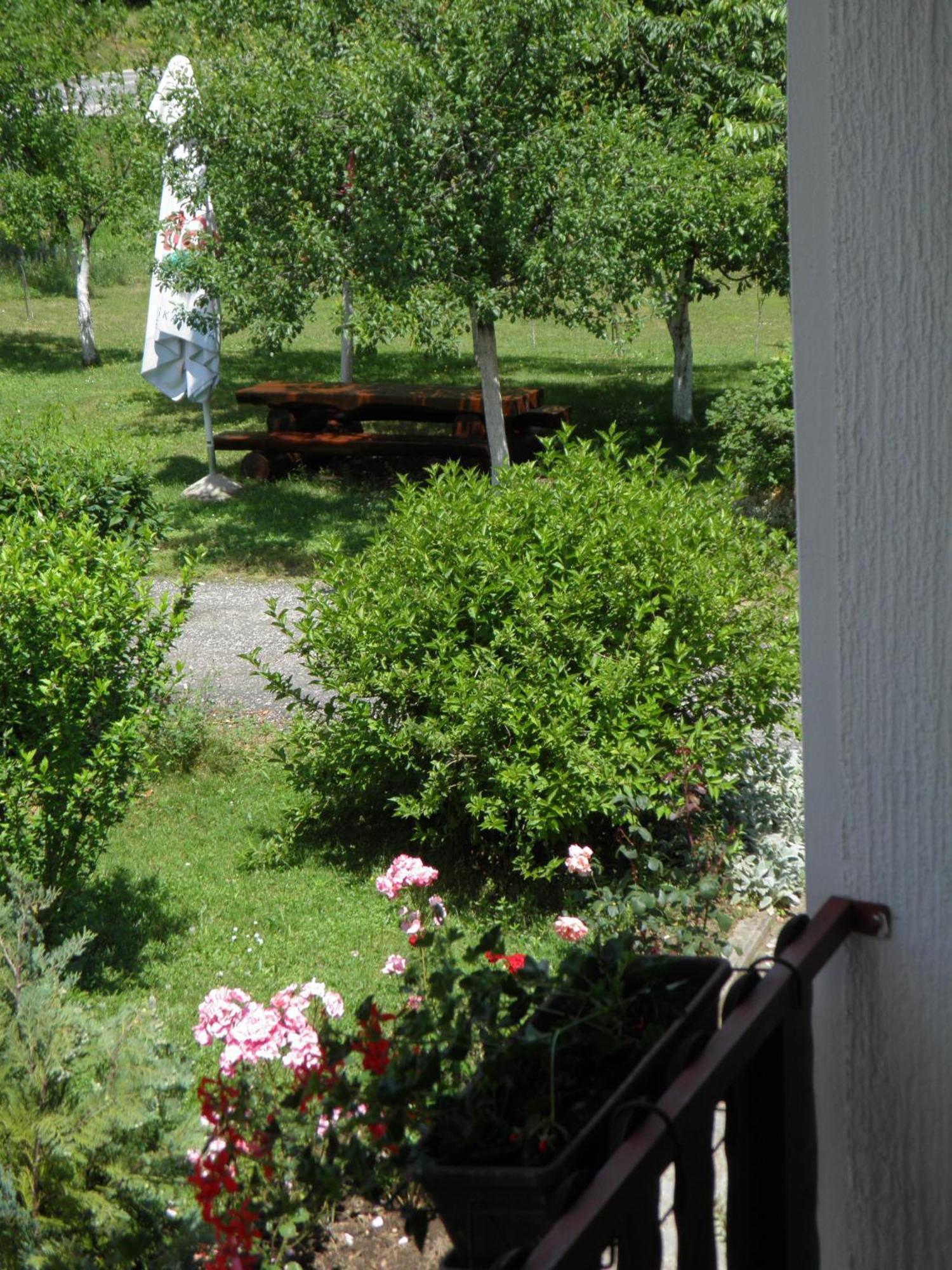 Отель House Janja Plitvice Селиште-Дрежничко Экстерьер фото